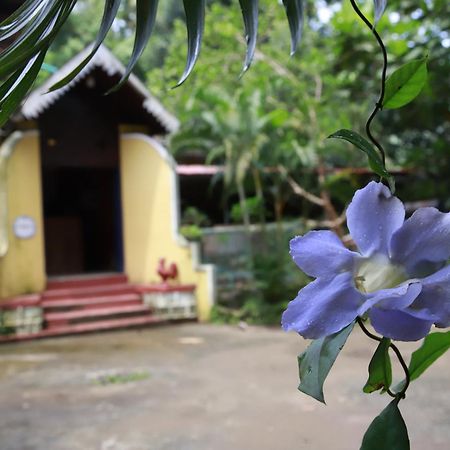 Phoenix Castle House Palolem Canacona Exterior photo